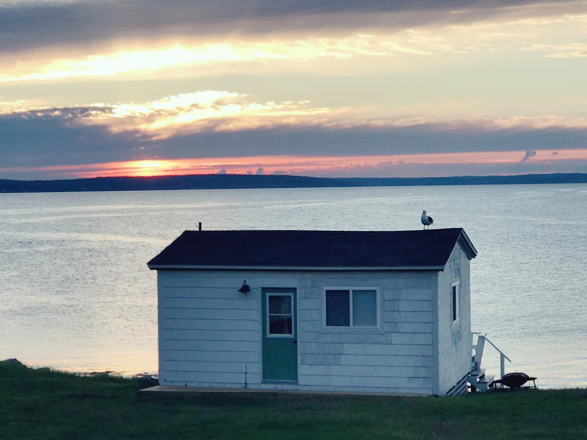 Bluefin Cottage Indian Harbour Exterior foto