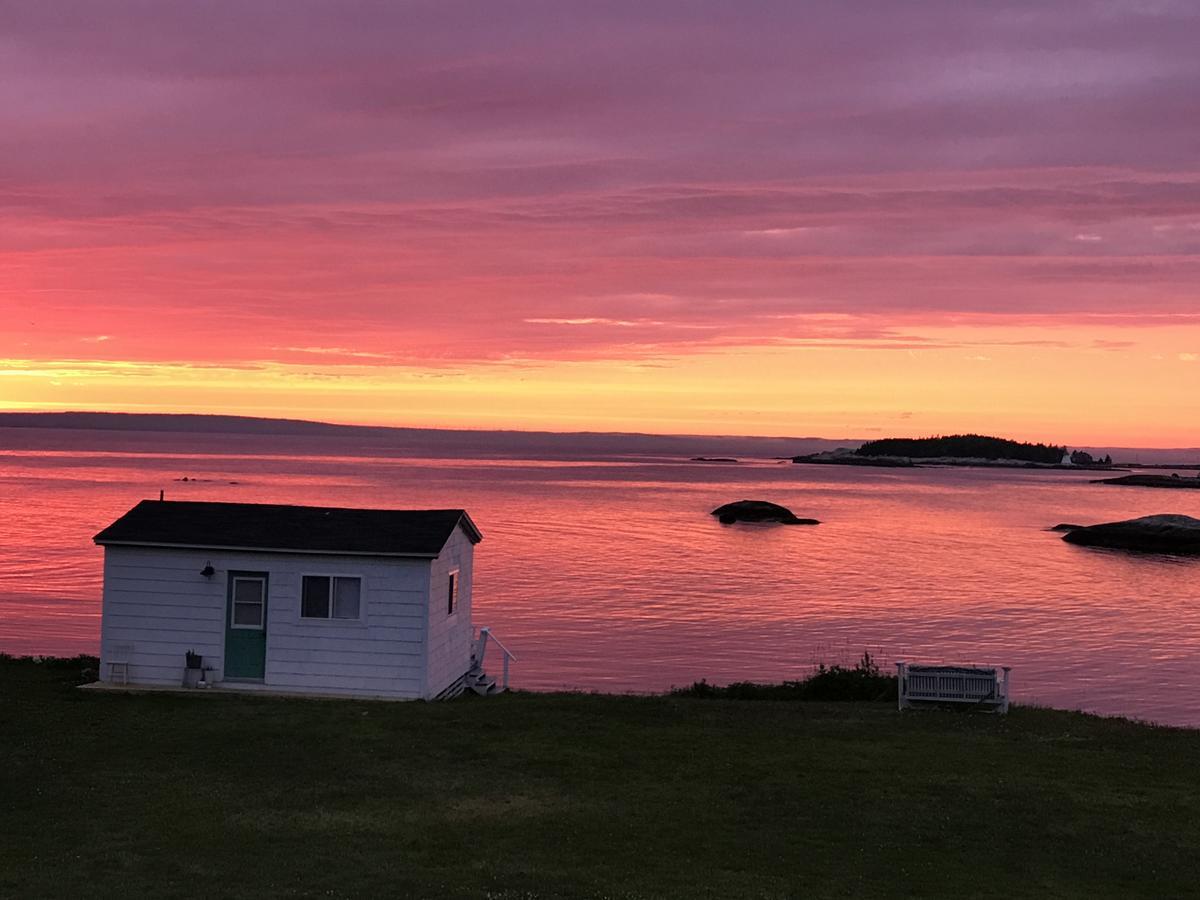 Bluefin Cottage Indian Harbour Exterior foto