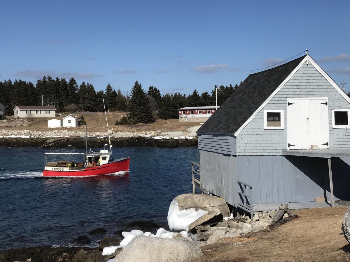 Bluefin Cottage Indian Harbour Exterior foto